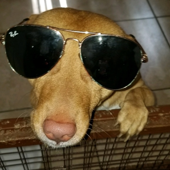 alainelmii